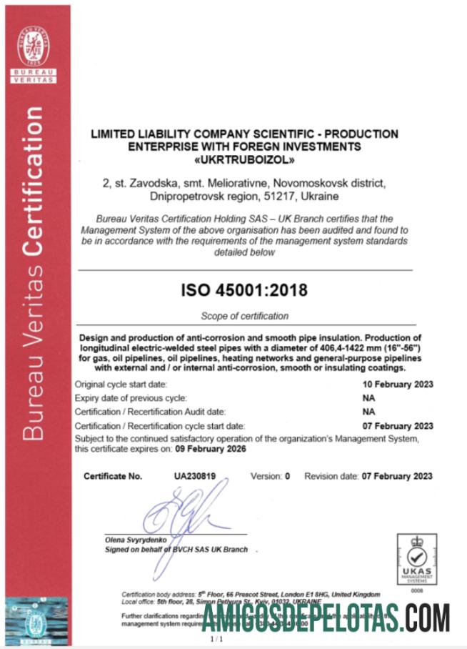 Certificado Bureau Veritas de registro comercial do Reino Unido para download, modelo Word e PDF